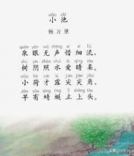 小池古诗翻译（小池古诗翻译英语）