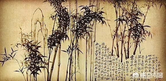岁寒三友是指哪三个人（岁寒三友是指哪些人）