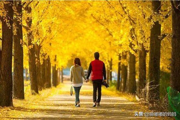 执子之手与子偕老的本意（执子之手与子偕老的原意）