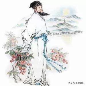蝶恋花花褪残红青杏小苏轼(古诗蝶恋花花褪残红青杏小)