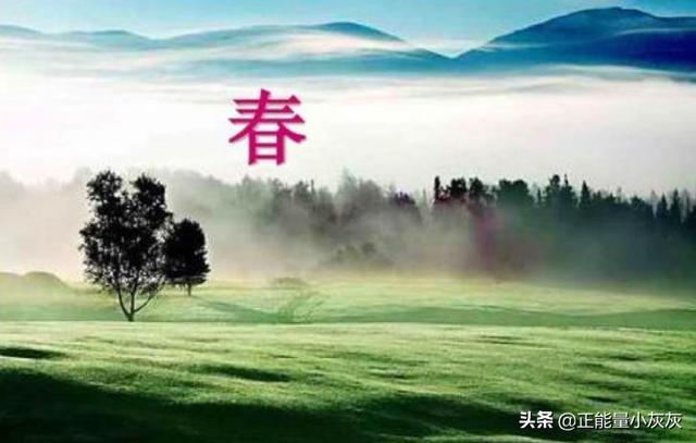 优美的短篇文章（优美文段短篇）