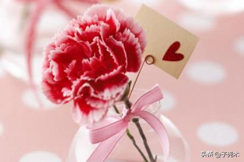 百花齐放(百花齐放百家争鸣的方针是在什么时候提出的)