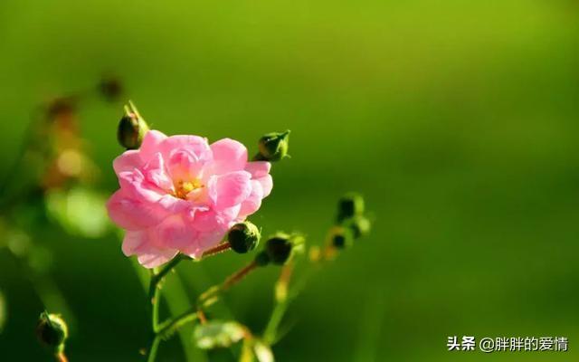 名言名句大全人生哲理与感悟