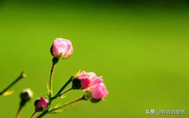 名言名句大全人生哲理与感悟
